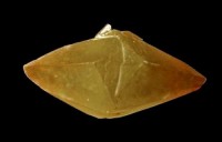 /album/galerie-photos/monts-maudits-calcite-600-mod2-jpg1/